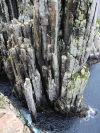 Australia - Tasmania - Cape Hauy - Tasman National Park: basalt columns - stone pillars - photo by  M.Samper