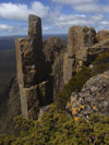 Tasmania - Cradle Mountain - Lake St Clair National Park: Overland Track - on a ridge (photo by M.Samper)