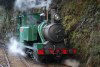 Tasmania - Strahan: steam locomotive (photo by Fiona Hoskin)