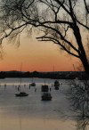 Tasmania - Launceston: Tamar River - twilight (photo by Fiona Hoskin)