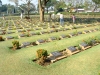Thailand - Kanjanaburi: graves - war cemetery (photo by Llonaid)