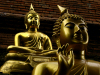 Thailand - Chiang Mai: golden Buddhas - religon - Buddhism (photo by M.Samper)