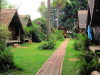 Thailand - Koh Samui: tourist bungalows (photo by M.Samper)