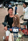 Thailand - Chiang Mai: happy moped girl with dog (photo by J.Kaman)