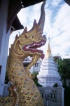 Thailand - Chiang Mai: dragon / naga at Wat Chedi Luang temple - Chedi in the background - religon - Buddhism (photo by J.Kaman)