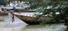Thailand - Koh Tao: boats (photo by Jordan Banks)