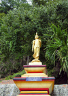 Thailand - Krabi: golden Budhha (photo by Ben Jackson)