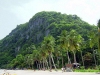 Thailand - Koh Samui: beach and coconut trees (photo by Ben Jackson)