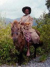 Manatuto district: East Timor cowboy with his horse and his dog