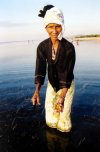 East Timor - woman gathering sea urchins in the Wetar Strait (photo by M.Sturges)