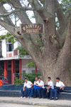 Tonga - Tongatapu - Nuku'alofa: young men in uniform - Raintree square - photo by D.Smith