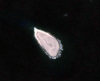 le Tromelin - Tromlin Island: Satellite image - photo from  NASA's globe software World Wind