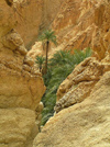 Tunisia - Chebika: a canyon by the mountain oasis (photo by J.Kaman)