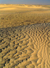 Tunisia - Douz: dunes in the Sahara III (photo by J.Kaman)