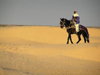 Tunisia - Douz: horse rider in the desert (photo by J.Kaman)
