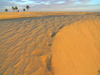 Tunisia - Douz: dunes in the Sahara desert (photo by J.Kaman)