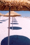 Tunisia - Jerba Island - Ras Taguermes: beach near Hotel Dar Jerba (photo by M.Torres)