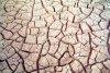 Tunisia / Tunisia / Tunisien - Chott Fejej: cracked ground - dry lake (photo by M.Torres)