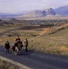 Agri province, Eastern Anatolia, Turkey: Kurdish family on the road with their donkeys - Kurdistan - photo by W.Allgwer