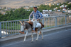 Hasankeyf / Heskif, Batman Province, Southeastern Anatolia, Turkey: an old Kurdish man crosses the bridge on his donkey - Atatrk coined the term Mountain Turks as an euphemism for the Kurdish people - photo by W.Allgwer