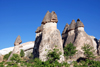 Cappadocia - Greme, Nevsehir province, Central Anatolia, Turkey: basalt over tuff - fairy chimneys and a bit of forest - Valley of the Monks - Pasabagi Valley- photo by W.Allgwer