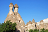 Cappadocia - Greme, Nevsehir province, Central Anatolia, Turkey: fairy chimneys and trees - earth pyramids - Valley of the Monks - Pasabagi Valley- photo by W.Allgwer