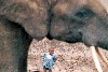 Africa - Uganda - Queen Elizabeth National park - QENP: elephant and young girl (photo by Nacho Cabana)