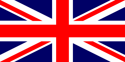 the union jack - UK flag
