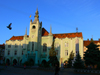 Mukachevo, Transcarpathia / Zakarpattya, Ukraine: town hall - photo by J.Kaman
