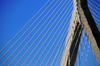 Boston, Massachusetts, USA: Leonard P. Zakim Bunker Hill Memorial Bridge - cable-stayed bridge - pillar - multicable, fan arrangement - civil engineers Christian Menn and Ruchu Hsu - photo by M.Torres
