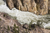 Yellowstone National Park, Wyoming, USA: white water on the Yellowstone River as it runs through the Grand Canyon of the Yellowstone below the falls - photo by C.Lovell