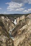 Yellowstone National Park, Wyoming, USA: Grand Canyon of the Yellowstone river, with Lower Yellowstone Falls at the top - photo by C.Lovell
