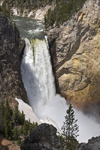 Yellowstone National Park, Wyoming, USA: Lower Yellowstone Falls, near Canyon Village, the river drops into the Grand Canyon of the Yellowstone - photo by C.Lovell