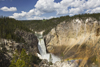 Yellowstone National Park, Wyoming, USA: Lower Yellowstone Falls drops into the Grand Canyon of the Yellowstone - largest volume waterfall in the US Rocky Mountains - photo by C.Lovell