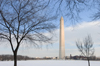Washington, D.C., USA: bare trees of the National Mall frame the 555 foot Washington Monument honoring President George Washington - photo by C.Lovell