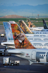 Denver, Colorado, USA: Denver International Airport - row of Frontier aircraft with their unique tail art - Airbus A320-214 N201FR Caribou 'Yukon' cn3389 - photo by M.Torres