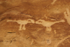 Mesa Verde National Park, Montezuma County, Colorado, USA: Petroglyphs, at the end of the Petroglyph Point Trail - kissing birds - photo by A.Ferrari