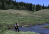Rio Grande National Forest, Colorado, USA: fly fishing on the Weminuche Creek - angler - Colorado Rockies - photo by C.Lovell