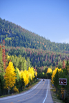 Roosevelt National Forest - Poudre Canyon, Larimer County, Colorado, USA: CO 14 - Poudre Canyon Hwy - fall foliage and the road near the exit to Aspen Glen camping ground - photo by M.Torres