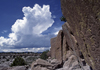 Chama River Canyon, New Mexico, USA: thunder clouds, ponderosa pines and petroglyphs - Georgia O'Keefe Country - photo by C.Lovell