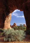 Arches National Park, Utah, USA: Pine Tree arch in the Devil's Garden - photo by C.Lovell