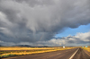 I-40, Arizona, USA: a storm advances on Interstate 40 - photo by M.Torres
