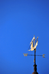 Portland, Maine, New England, USA: golden weathervane at Portland City Hall in the shape of a ship - photo by M.Torres