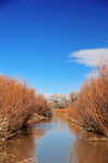 Bosque del Apache National Wildlife Refuge, Socorro County, New Mexico, USA: narrow waterway in the marshes - photo by M.Torres