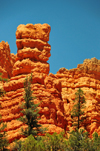 Dixie National Forest, Utah, USA: Red Canyon - red sandstone formations - photo by M.Torres
