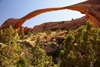 Arches National Park, Grand County, Utah, USA: Landscape Arch still defies gravity - the the longest arch in the park - Devil's Garden Trail - photo by A.Ferrari