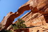 Arches National Park, Grand County, Utah, USA: Wall Arch, collapsed in 2008 - Devil's Garden Trail - photo by A.Ferrari