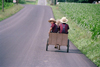 Pennsylvania, USA: Amish vehicle - junior version - photo by J.Kaman