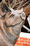 Little Rock, Arkansas, USA: 'River Market Pig' - bronze sculpture of a large pig - sculptor Sandy Scott - Ottenheimer Plaza, River Marrket area - photo by M.Torres