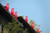 Louisville, Kentucky, USA: red penguins on the cornice of the Museum Hotel, 7th street- photo by M.Torres